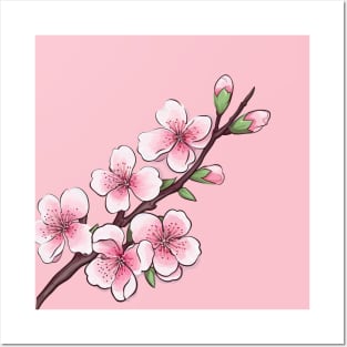 Cherry Blossom Art Posters and Art